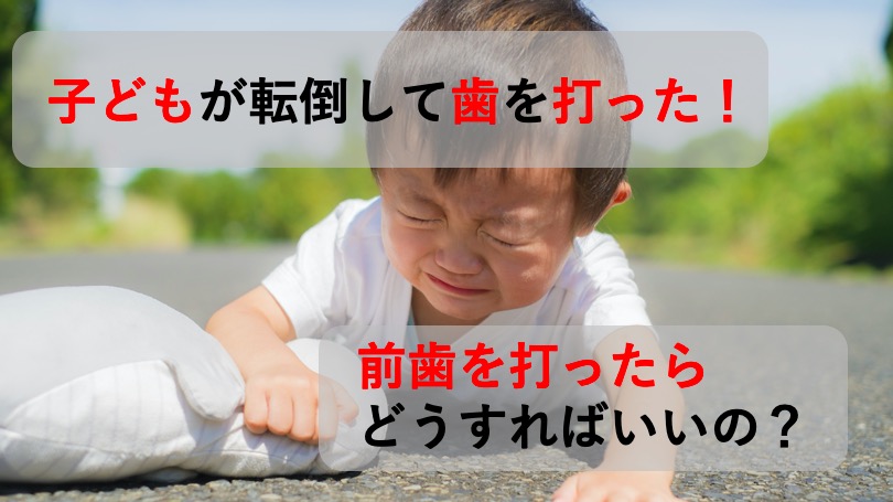 子どもが前歯を打ったらどうすればいいの 応急処置や対応について 北戸田coco歯科 戸田市 北戸田市の歯医者