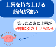 上唇を持ち上げる筋肉が強い